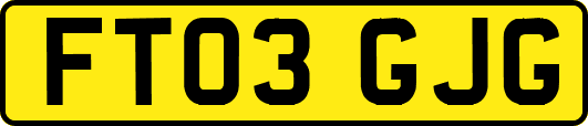 FT03GJG