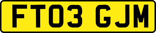 FT03GJM