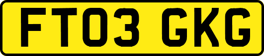 FT03GKG