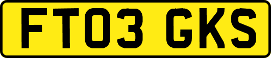 FT03GKS