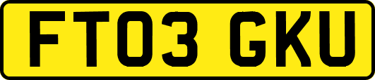 FT03GKU
