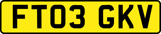 FT03GKV