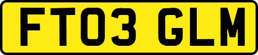 FT03GLM
