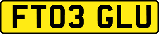 FT03GLU