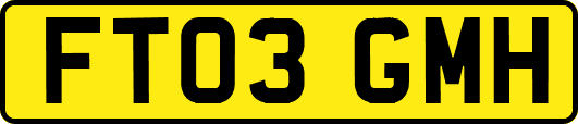 FT03GMH