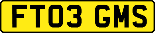 FT03GMS