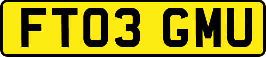 FT03GMU