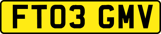FT03GMV