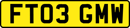 FT03GMW
