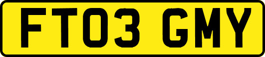 FT03GMY