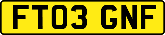 FT03GNF