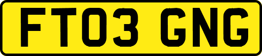 FT03GNG