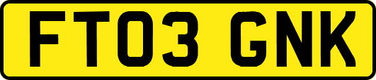 FT03GNK