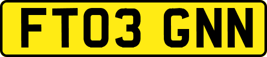 FT03GNN