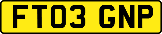 FT03GNP