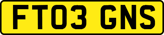 FT03GNS