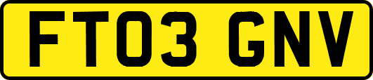 FT03GNV