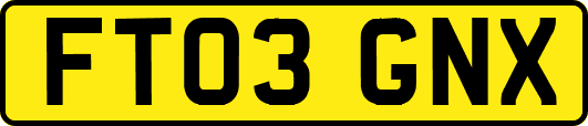FT03GNX