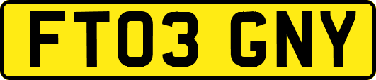 FT03GNY