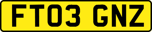 FT03GNZ