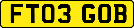 FT03GOB