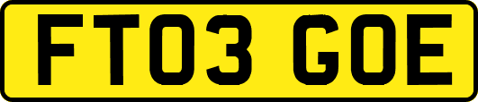 FT03GOE