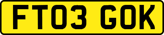 FT03GOK