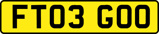 FT03GOO
