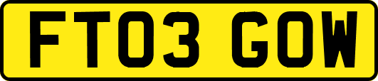 FT03GOW