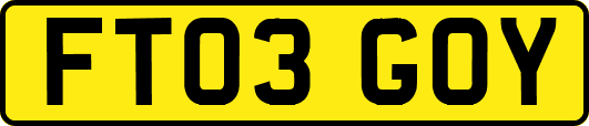 FT03GOY