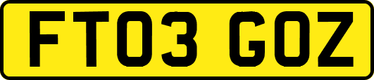 FT03GOZ