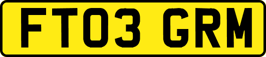 FT03GRM