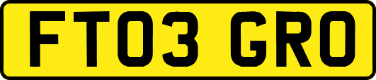 FT03GRO