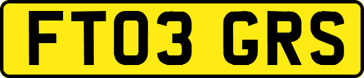 FT03GRS