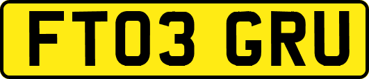 FT03GRU