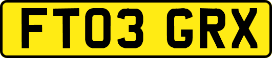 FT03GRX