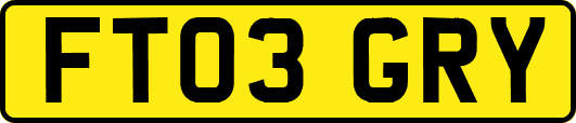 FT03GRY