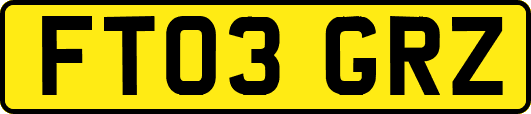 FT03GRZ