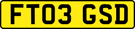 FT03GSD