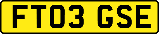 FT03GSE
