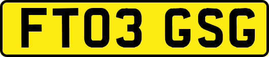 FT03GSG