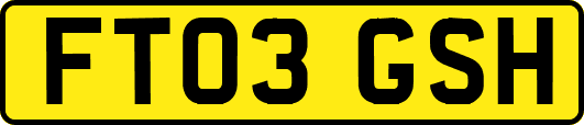 FT03GSH