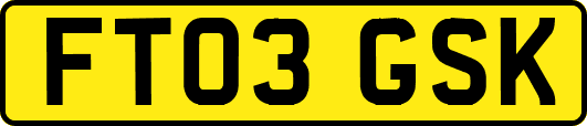FT03GSK
