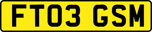 FT03GSM
