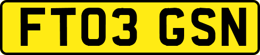 FT03GSN