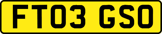 FT03GSO