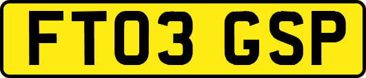 FT03GSP