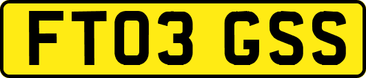 FT03GSS