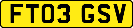 FT03GSV