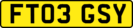 FT03GSY